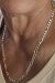 Gestolen Gouden figaro ketting